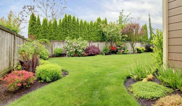 Landscaped backyard in Alberta