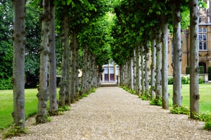 architecture-building-countryside-daylight-126271