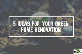 green-home-renovation-new