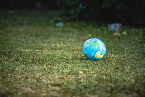 world on yard - yard waste removal - Bin There Dump That blog